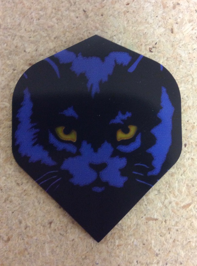 Pentathlon Flight ~ Cat Eyes-0