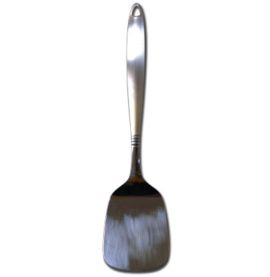Stainless Steel Serving Spatula-0