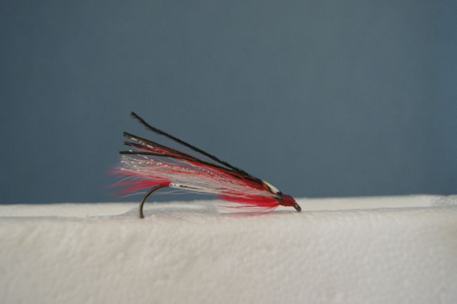 Red & White Bucktail Delight Streamer -0