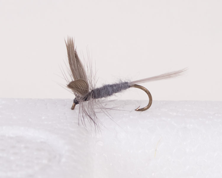 Blue Dun Trout Dry-0