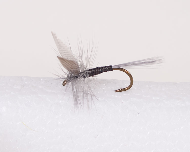 Blue Upright Trout Dry-0