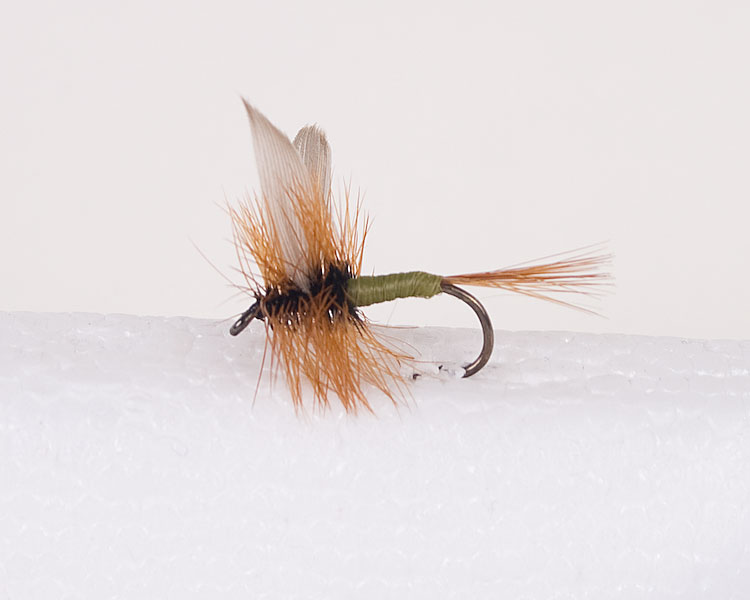 Cow Dung Trout Dry-0