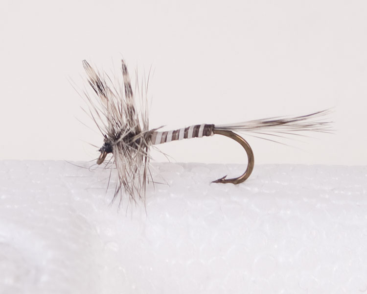 Mosquito Trout Dry-0