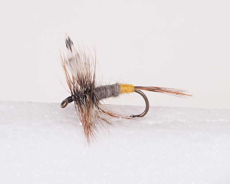 Female Adams Trout Dry-0