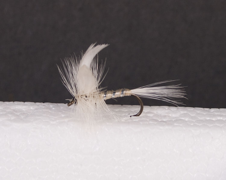 White Miller Trout Dry-0