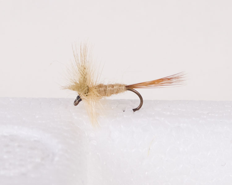 Cahill ~ Light Trout Dry-0