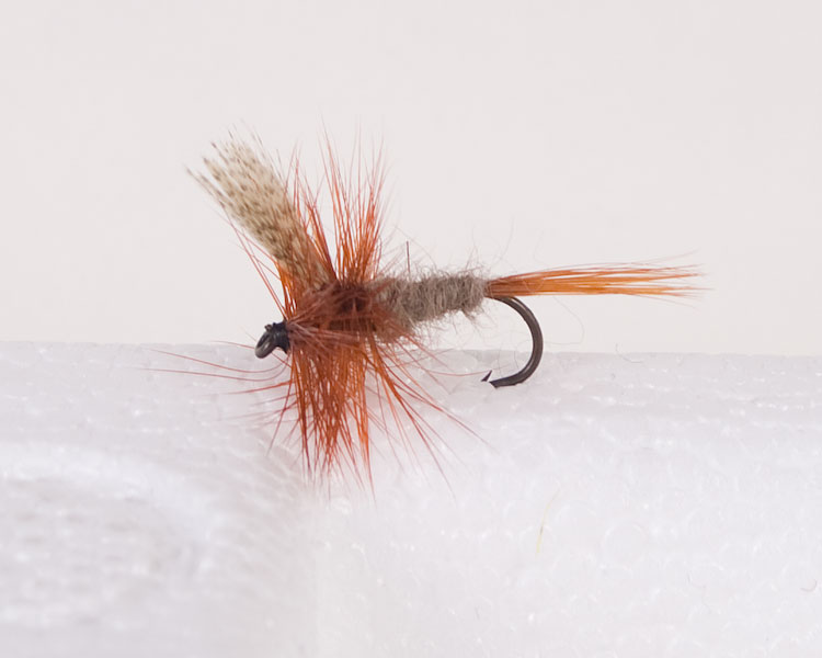 Cahill ~ Dark Trout Dry-0