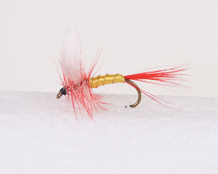 Parma Belle Trout Dry-0