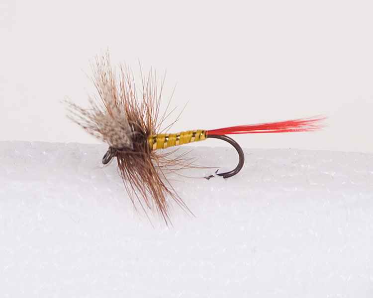 Professor Trout Dry-0