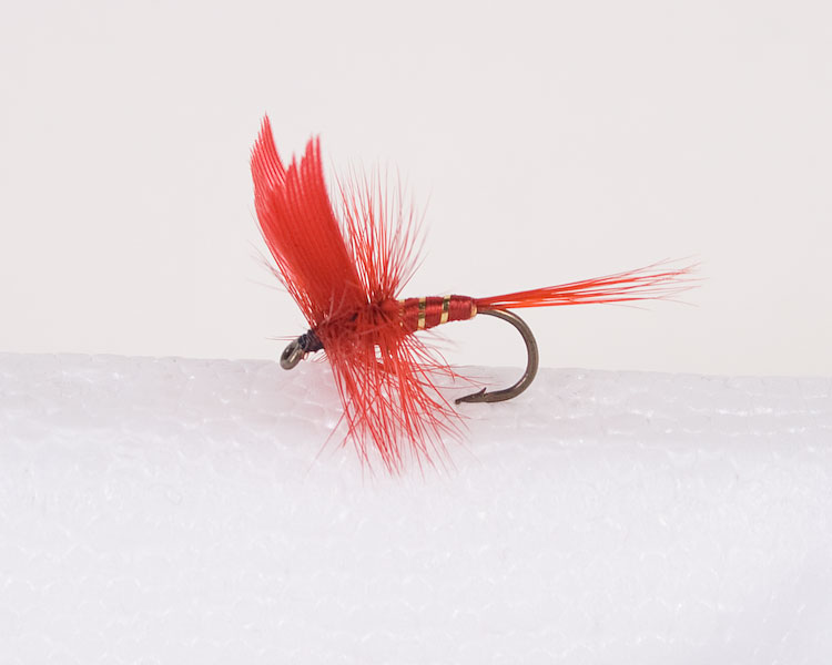 Red Ibis Trout Dry-0