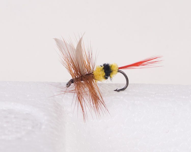 Bee {The McGinty} Trout Dry-0