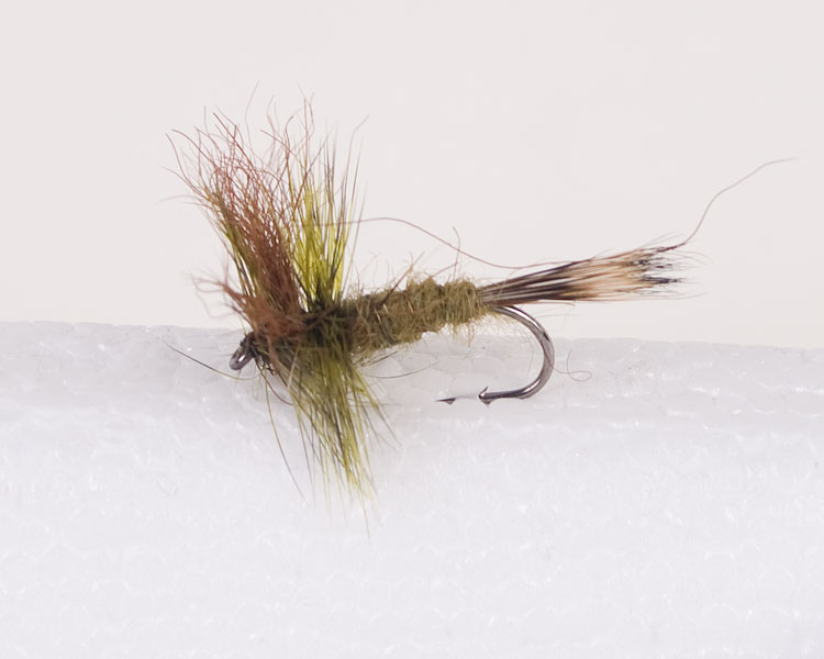 Green Drake Trout Dry-0