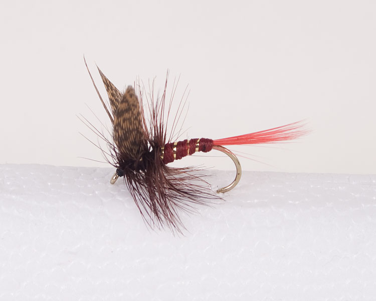 Dark Montreal Trout Dry-0
