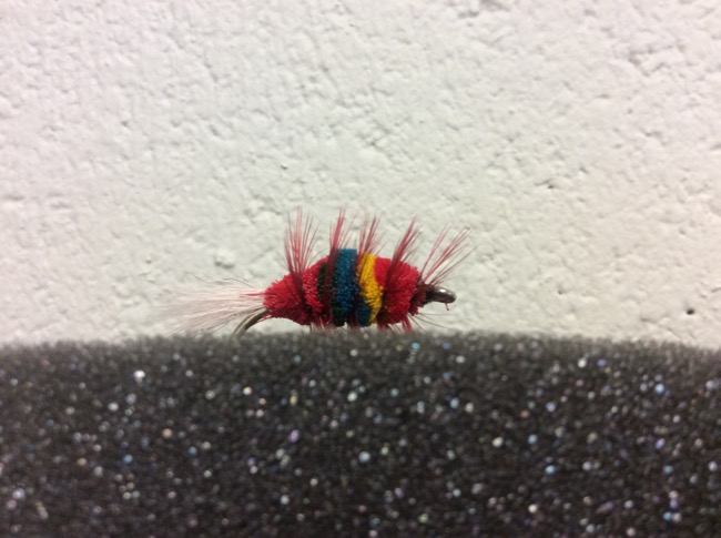Skittles Salmon Bug -0