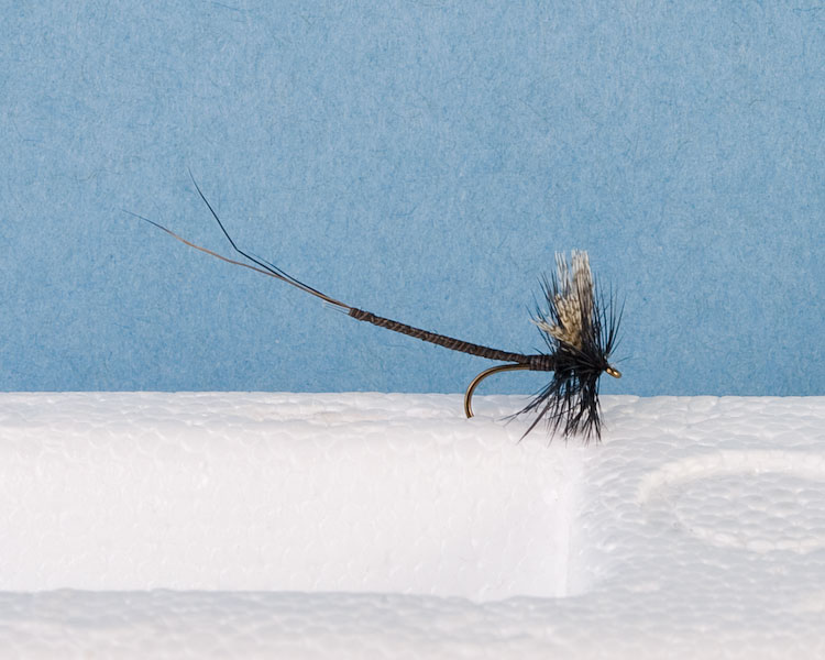 Mayfly - Extended Body Trout Dry Fly-0