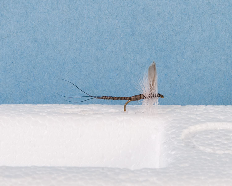 Blue Upright - Extended Body Trout Dry Fly-0