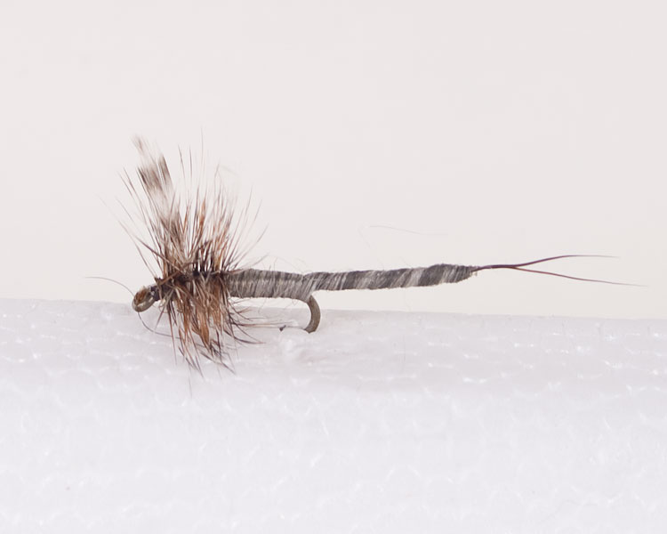 Adams - Extended Body Trout Dry Fly-0
