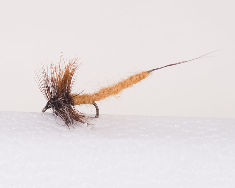 March Brown - Extended Body Trout Dry Fly-0