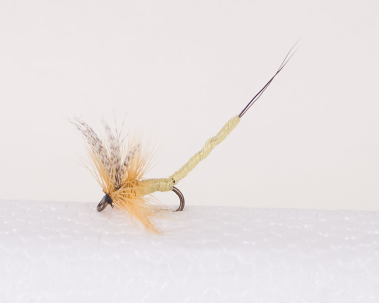 Yellow Sally - Extended Body Trout Dry Fly-0