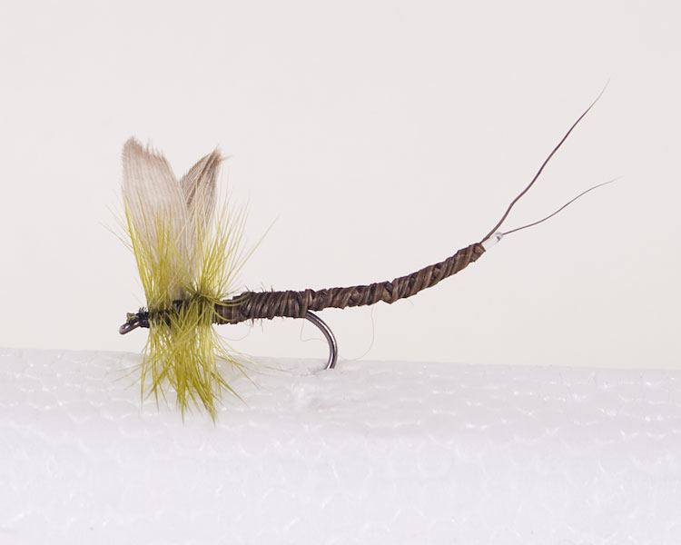 Olive Quill - Extended Body Trout Dry Fly-0