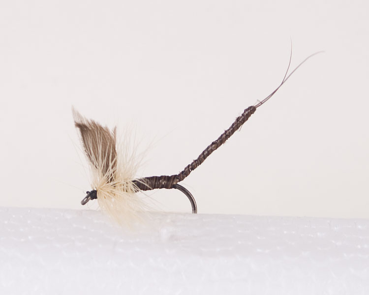 Ginger Quill - Extended Body Trout Dry Fly-0