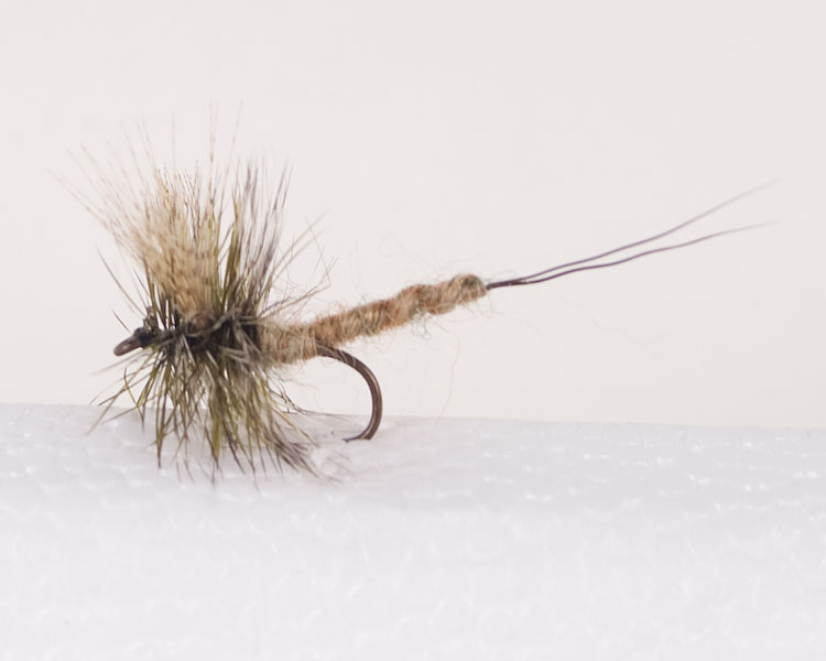 Green Drake - Extended Body Trout Dry Fly-0