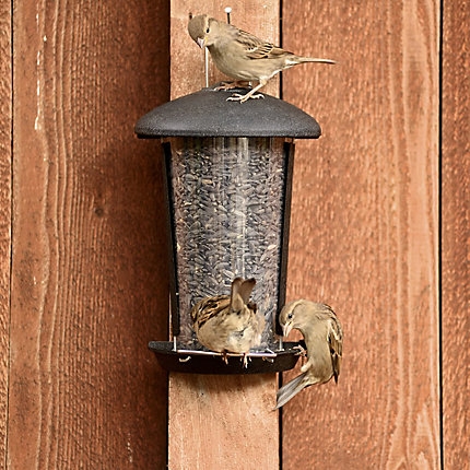 Perky-Pet Wall & Post Bird Seed Feeder-0