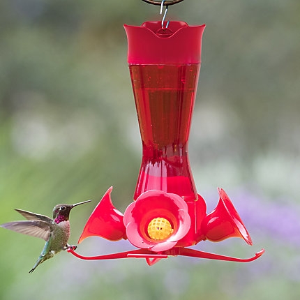Perky-Pet Glass Pinch Waist Hummingbird Feeder-0