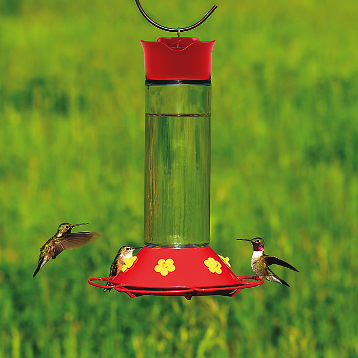 Perky-Pet Our Best Glass Hummingbird Feeder-0