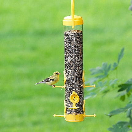 Perky-Pet Classic Finch Feeder-0