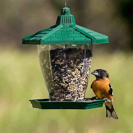 Perky-Pet Plastic Chalet Bird Seed Feeder-0