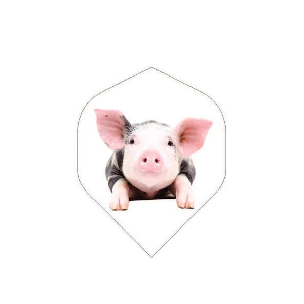 BD Flight ~ Pig-0