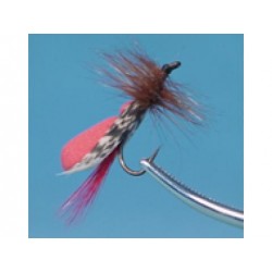 Red Foam Trout Dry-0