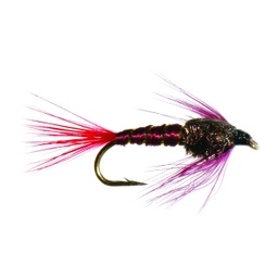 Montreal Nymph-0