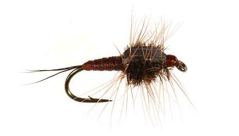 March Brown Nymph-0