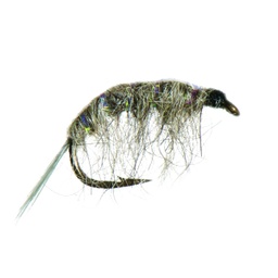 Grey Scud Nymph-0