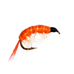 Orange Scud Nymph-0