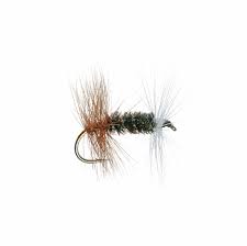 Renegade Trout Dry-0