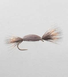 Tom Thumb Trout Dry-0