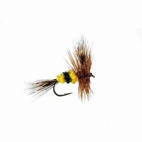 Bee Wulff Trout Dry-0