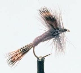 Grey Wulff Trout Dry-0