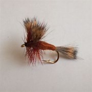 Brown Wulff Trout Dry-0