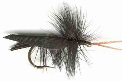 Black Tent Caddis Trout Dry-0