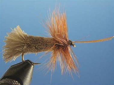 Goodland Caddis Trout Dry-0