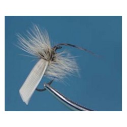 White Tent Caddis Trout Dry-0