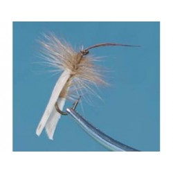 Cream Tent Caddis Trout Dry-0