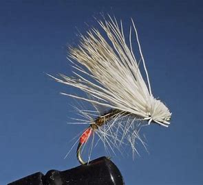 Italian Spider Fly Trout Dry-0