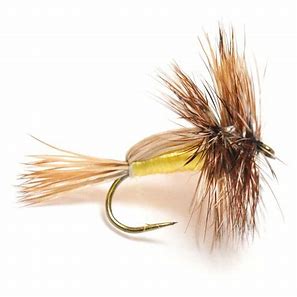 Yellow Humpty Trout Dry-0