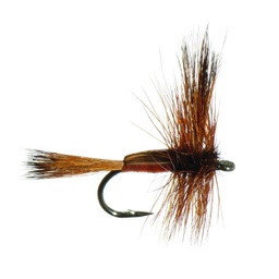 Brown Humpty Trout Dry-0