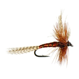 Brown Mayfly Trout Dry-0